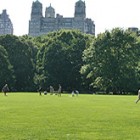 Central Park på sommaren