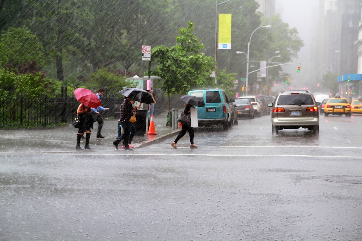 New York regn