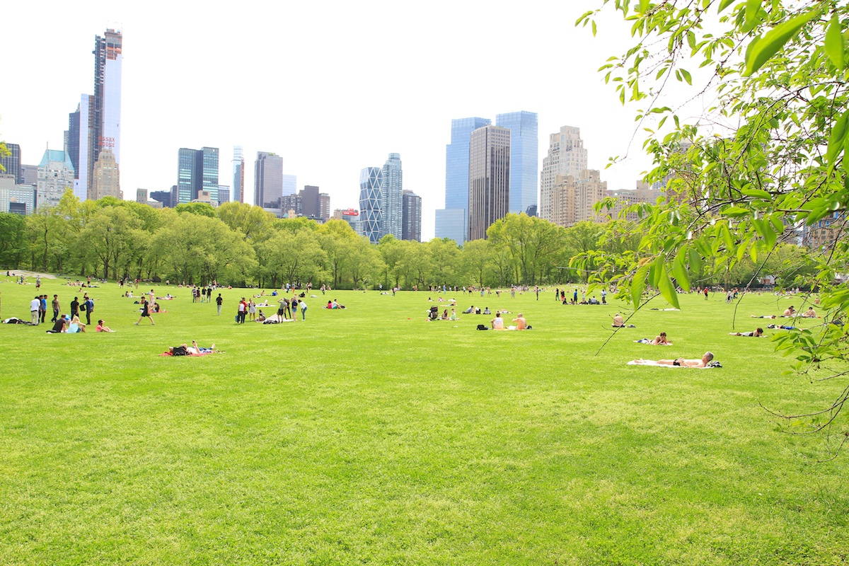 New York sun_1200px