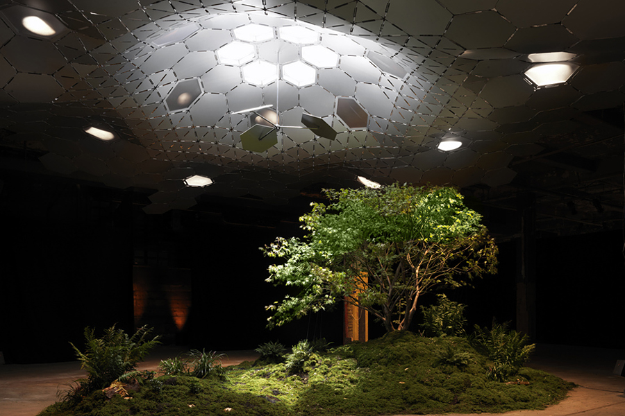 Lowline Park